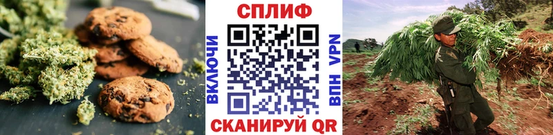 где продают   гидра зеркало  Cannafood конопля  Видное 