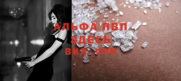 трава Белокуриха