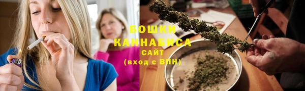трава Белокуриха