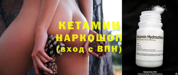 трава Белокуриха