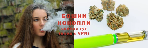 трава Белокуриха