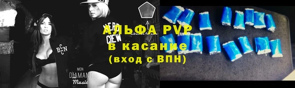 трава Белокуриха