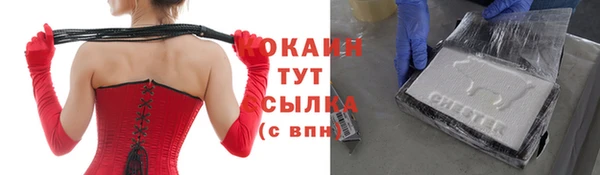 трава Белокуриха
