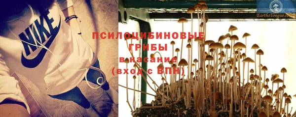 трава Белокуриха