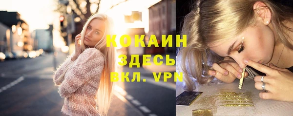 трава Белокуриха