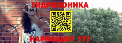 прущие грибы Балахна