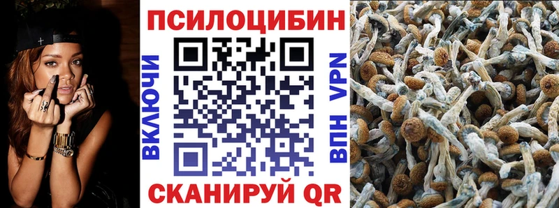 Галлюциногенные грибы прущие грибы  купить наркотики цена  Видное 