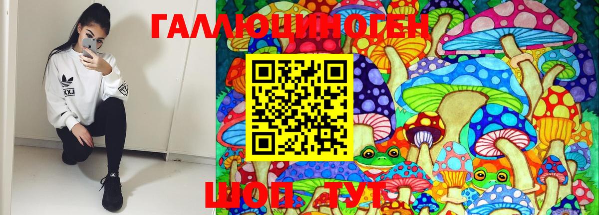 Псилоцибиновые грибы мицелий Видное