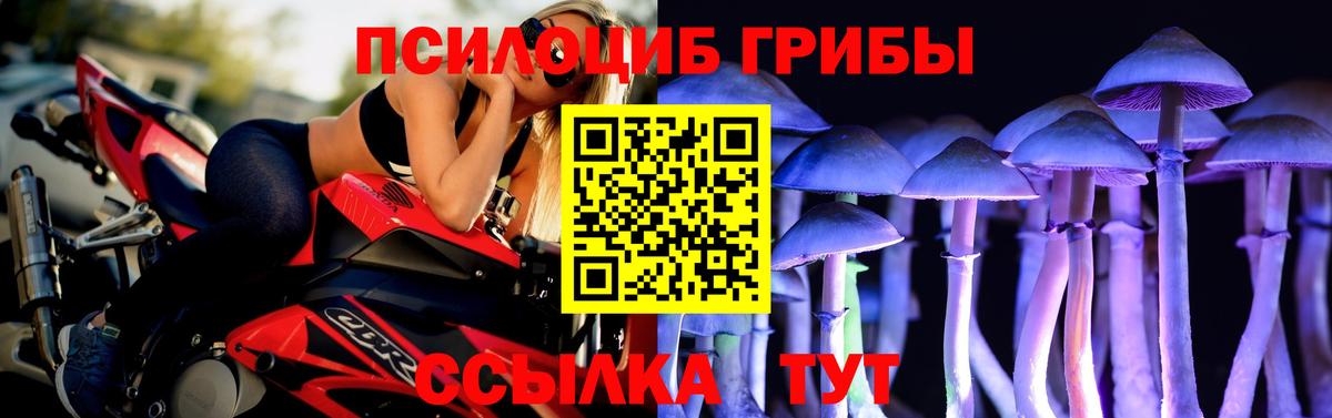 Псилоцибиновые грибы Cubensis  Вход с VPN  где купить наркоту  Видное 
